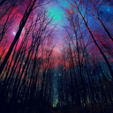 sarahproctor1998-blog avatar