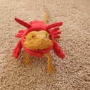 sarahreadsdccomics avatar