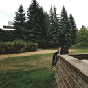 sarahrevolutions avatar