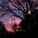 sarahsarita00 avatar