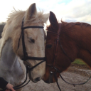 sarahssoftblog avatar