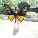 sarahtoots-blog avatar