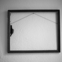 sarahw-art-blog avatar