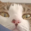 sarahwinter1312 avatar