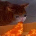 saraisnotakittykat avatar