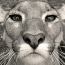 saraqael-blog-blog avatar