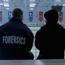 sarasassmastersidle avatar