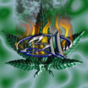 sarcannabis-blog avatar