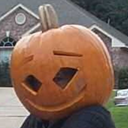 sarcasmangnome avatar