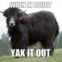 sarcastic-yak avatar