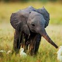 sarcasticandwitty avatar