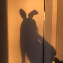 sarcasticblackheart avatar