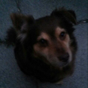 sarcasticboombastic avatar