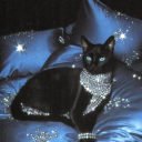 sarcasticintrovertedsoul avatar