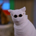 sarcasticmisterknowitall avatar