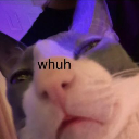 sarcasticnovah avatar