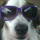 sarcasticsouthernbookworm avatar