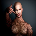 sarcohalderman avatar