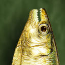 sardonicsardine-blog-blog avatar