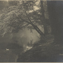 sardosycserokyric avatar