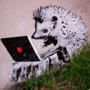 saree-not-sorry avatar