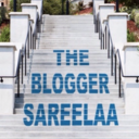 sareelaa-postovi-blog avatar