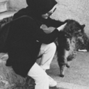 sarilsakgeceraslinda avatar