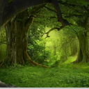 saritaguptasblog avatar