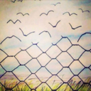 sarosempremiablog avatar