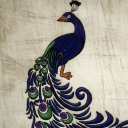 sartoriale-designo avatar