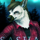 sashaaardwolf-blog avatar