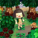 sasoriacnl avatar