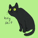 sasquatchbirdfriend avatar