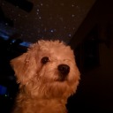 sassycassiesstuff avatar