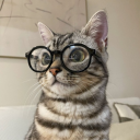 sassyfrieswriting avatar