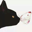 sassykuroneko avatar