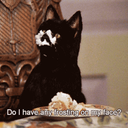 sassysaberhagen avatar