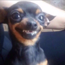 sassysassafrassy avatar