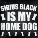 sassyslytherin13-blog avatar