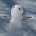 sassysnowperson avatar