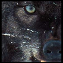 sassyspider-blog avatar