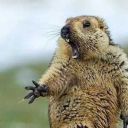 sassysweetstrawberry avatar