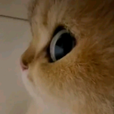 sasuke122899-blog avatar