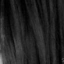 satan-rulez-blog avatar