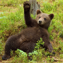 satanfish-writes avatar