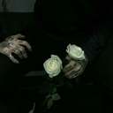 satanicmurderer avatar