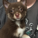 satanicsoulstealer666-blog avatar