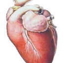 satanik-panik avatar