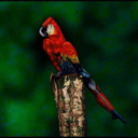 satanlikestacobell avatar