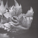 satansdiary-blog avatar